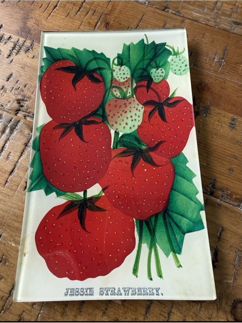 John Derian Signed Decoupage Glass Tray Jessie Strawberry Rare 5” X 8” USA